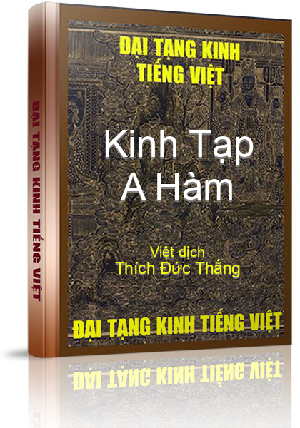 Kinh Tạp A-hàm - Tập 2