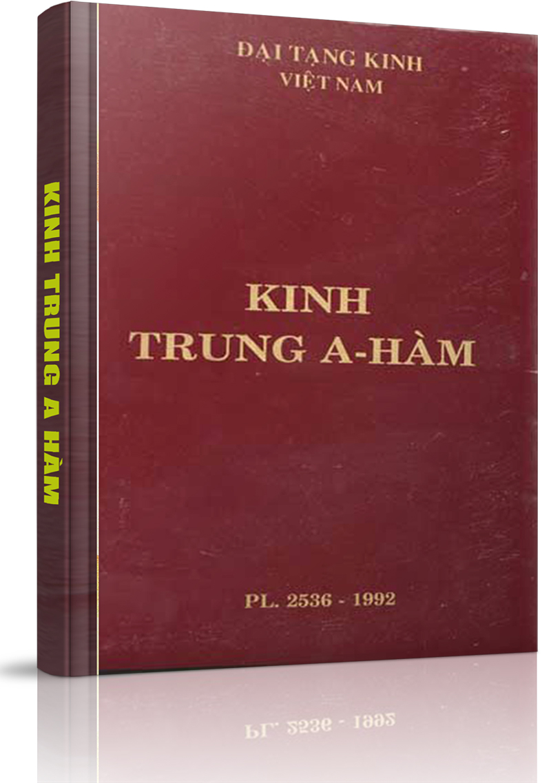 Kinh Trung A-hàm - Tập 3