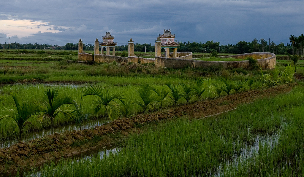 Văn học Phật giáo - Quê nhà, quê người, quê Mỹ, quê Việt Nam