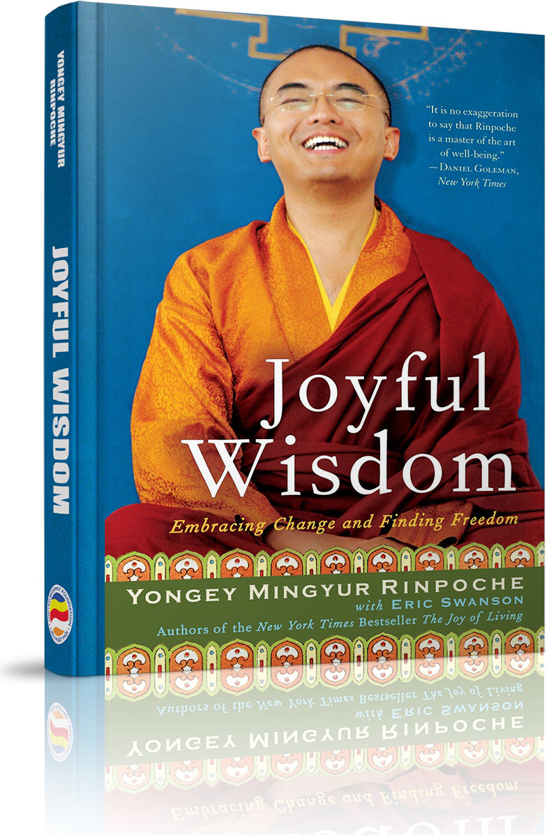 Joyful Wisdom - 