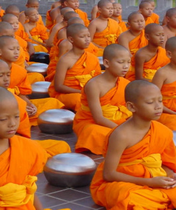 Văn học Phật giáo - Người tu sĩ xin hãy nhìn lại