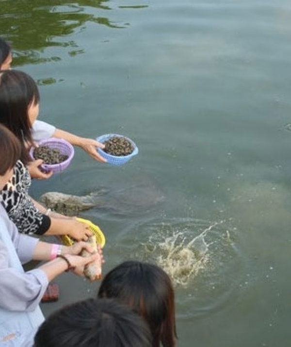 Văn học Phật giáo - Phóng sinh: Yêu mến tự do và đức hiếu sinh