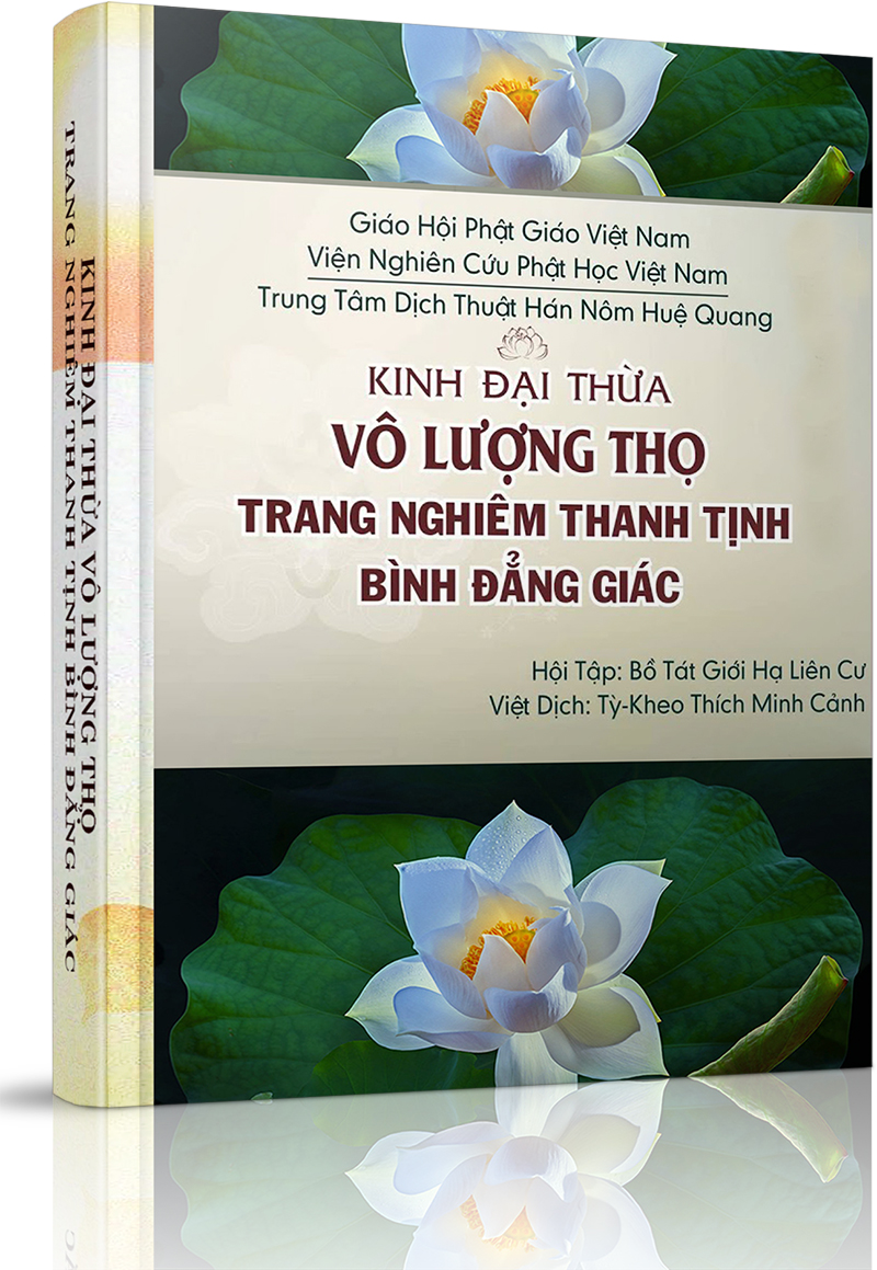 Kinh Phật thuyết Đại thừa Vô Lượng Thọ Trang Nghiêm Thanh Tịnh Bình Đẳng Giác - Ngoài hư không có dấu chim bay?