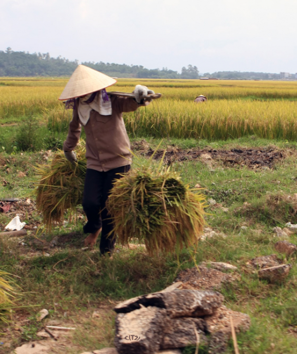 Văn học Phật giáo - Người dưng...