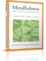 Mindfullness in Plain English