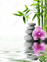 Từ Kinh Phật Sơ Thời đến Thiền Đốn ngộ