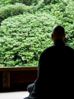 Bản tình ca duy nhất trong Kinh điển Pali 