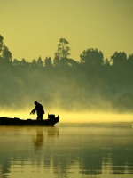 NGƯỜI ĐI