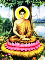 Mời Tham Gia Lớp Online Qua Zoom: Cuộc Đời Đức Phật Thích Ca 