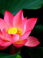 VÀI ĐIỀU CĂN BẢN