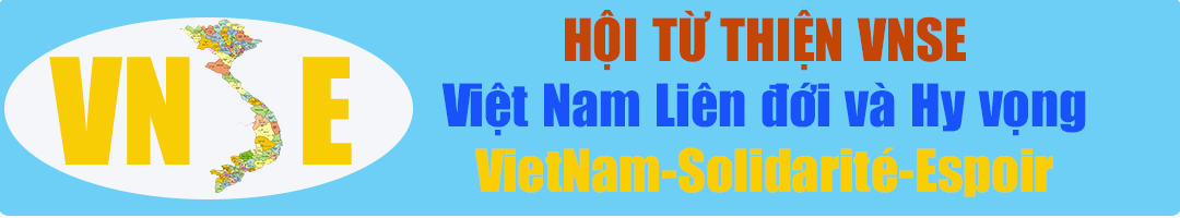 Hội từ thiện VNSE