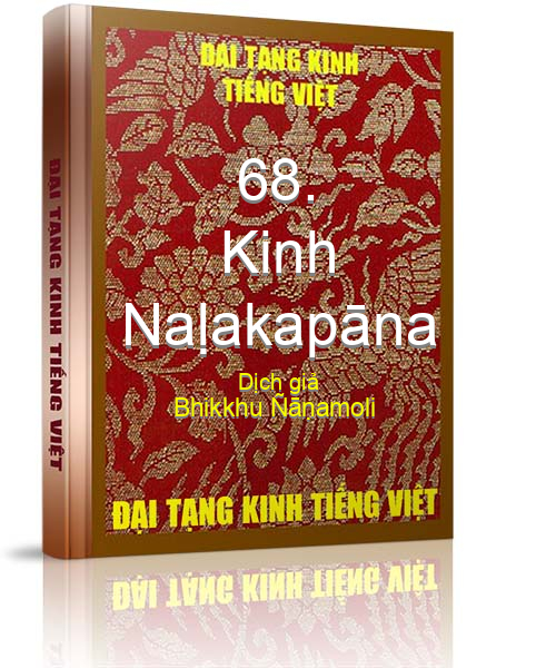 Đại Tạng Kinh Việt Nam