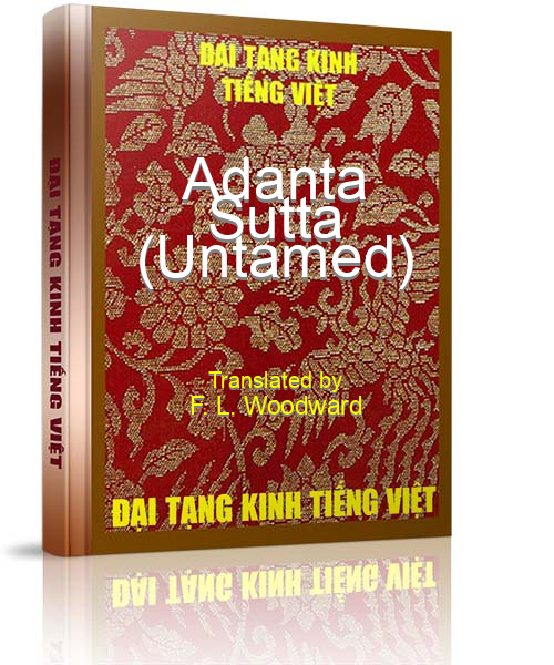 Đại Tạng Kinh Việt Nam