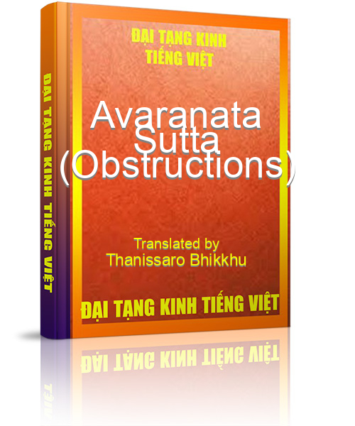 Đại Tạng Kinh Việt Nam