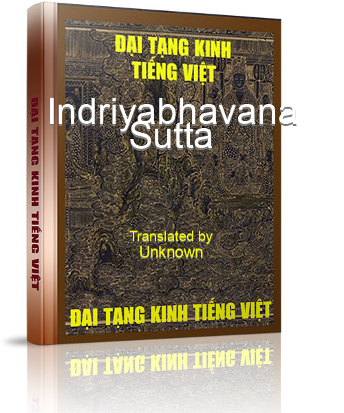 Đại Tạng Kinh Việt Nam