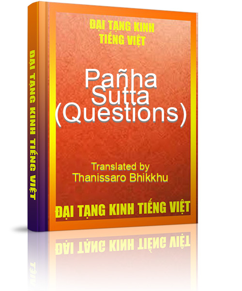 Đại Tạng Kinh Việt Nam