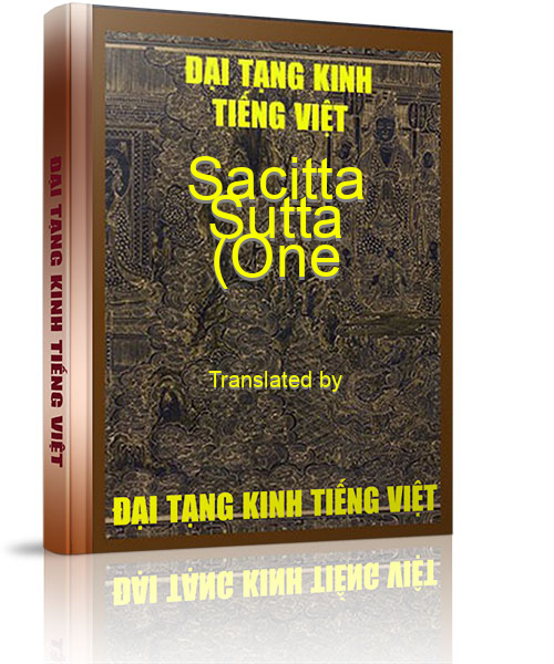 Đại Tạng Kinh Việt Nam