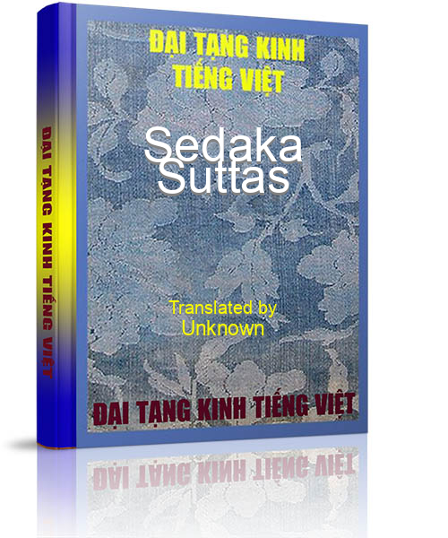 Đại Tạng Kinh Việt Nam