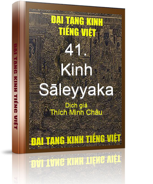 Đại Tạng Kinh Việt Nam