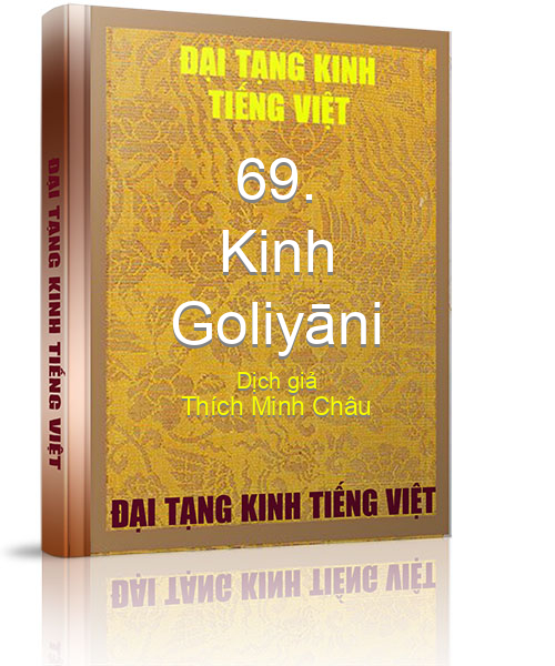 Đại Tạng Kinh Việt Nam