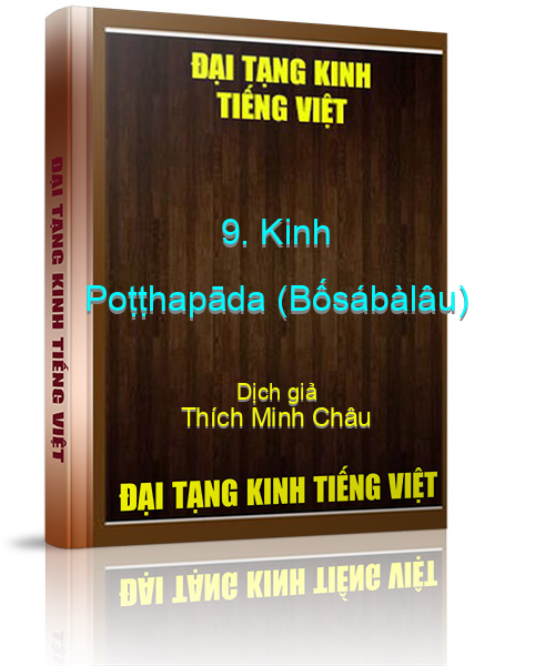 Đại Tạng Kinh Việt Nam