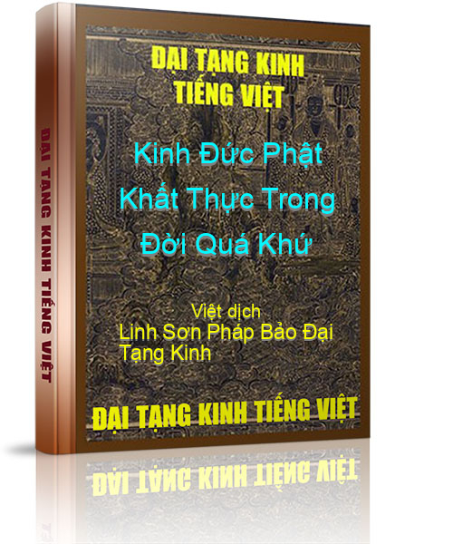Đại Tạng Kinh Việt Nam