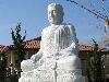 buddha-112.jpg