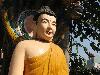buddha-142.jpg