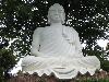 buddha-149.jpg