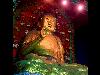 buddha-261.jpg