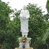bud2-060.jpg