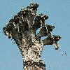 bud2-151.jpg
