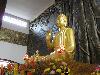 buddha_vn2009-108.jpg