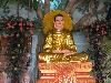 buddha_vn2009-113.jpg