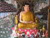 buddha_vn2009-119.jpg