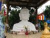 buddha_vn2009-27.jpg