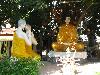 buddha_vn2009-56.jpg