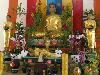 buddha_vn2009-77.jpg