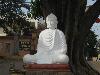 buddha_vn2009-84.jpg