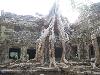 taprohm03.jpg