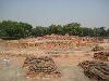 34-sarnath.jpg