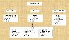 01-tamtang_pali.jpg