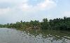 mekong100.jpg