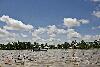 mekong118.jpg